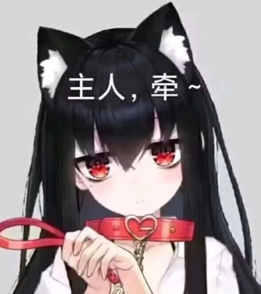 BDSM：实用指南