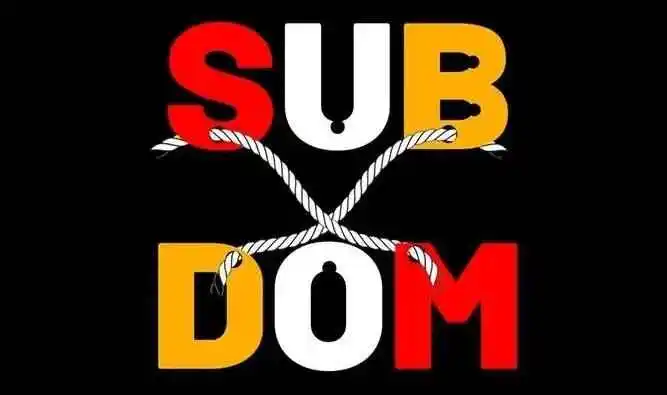 【西檬之家】字母圈的DOM是什么意思？