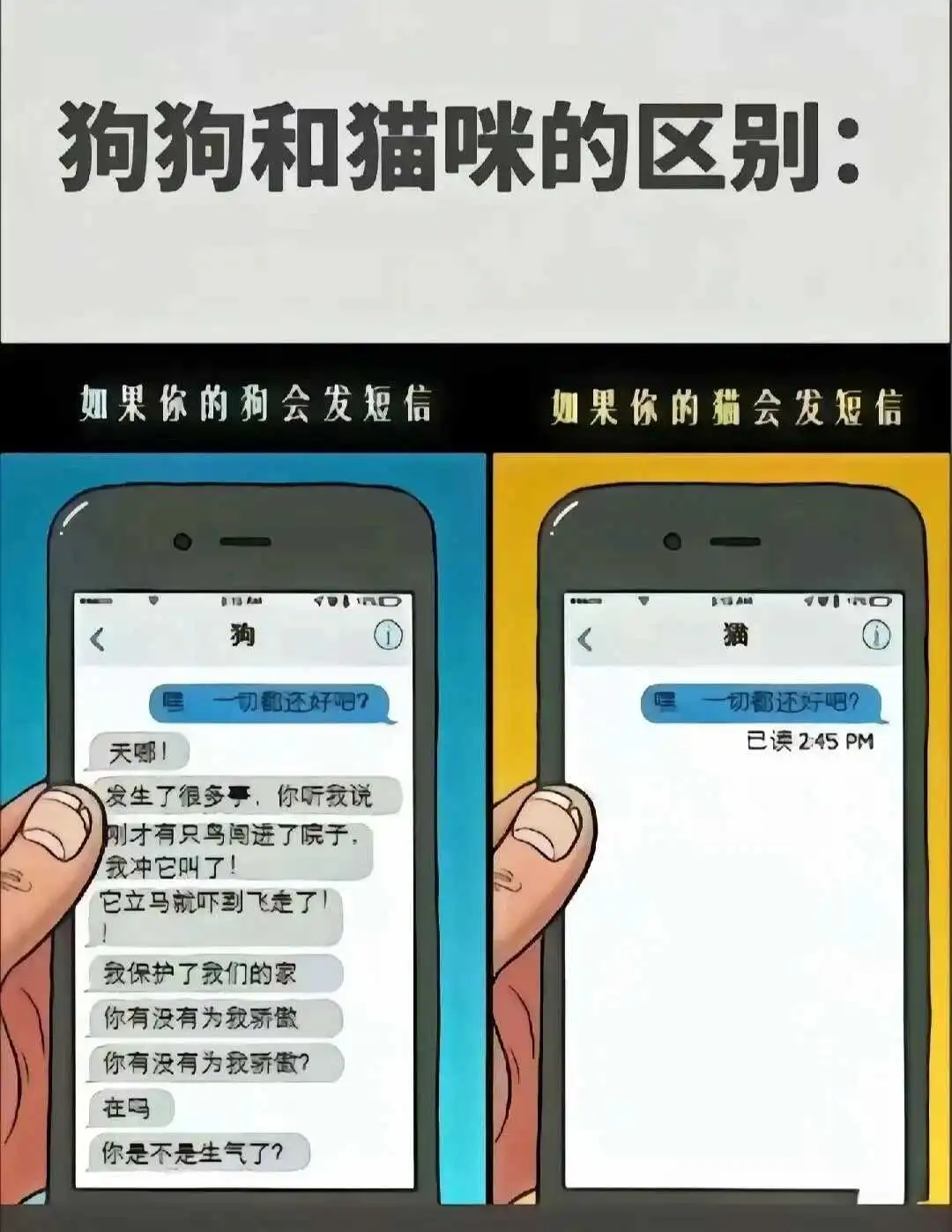 M倾向 - 微信图片_20250713011414