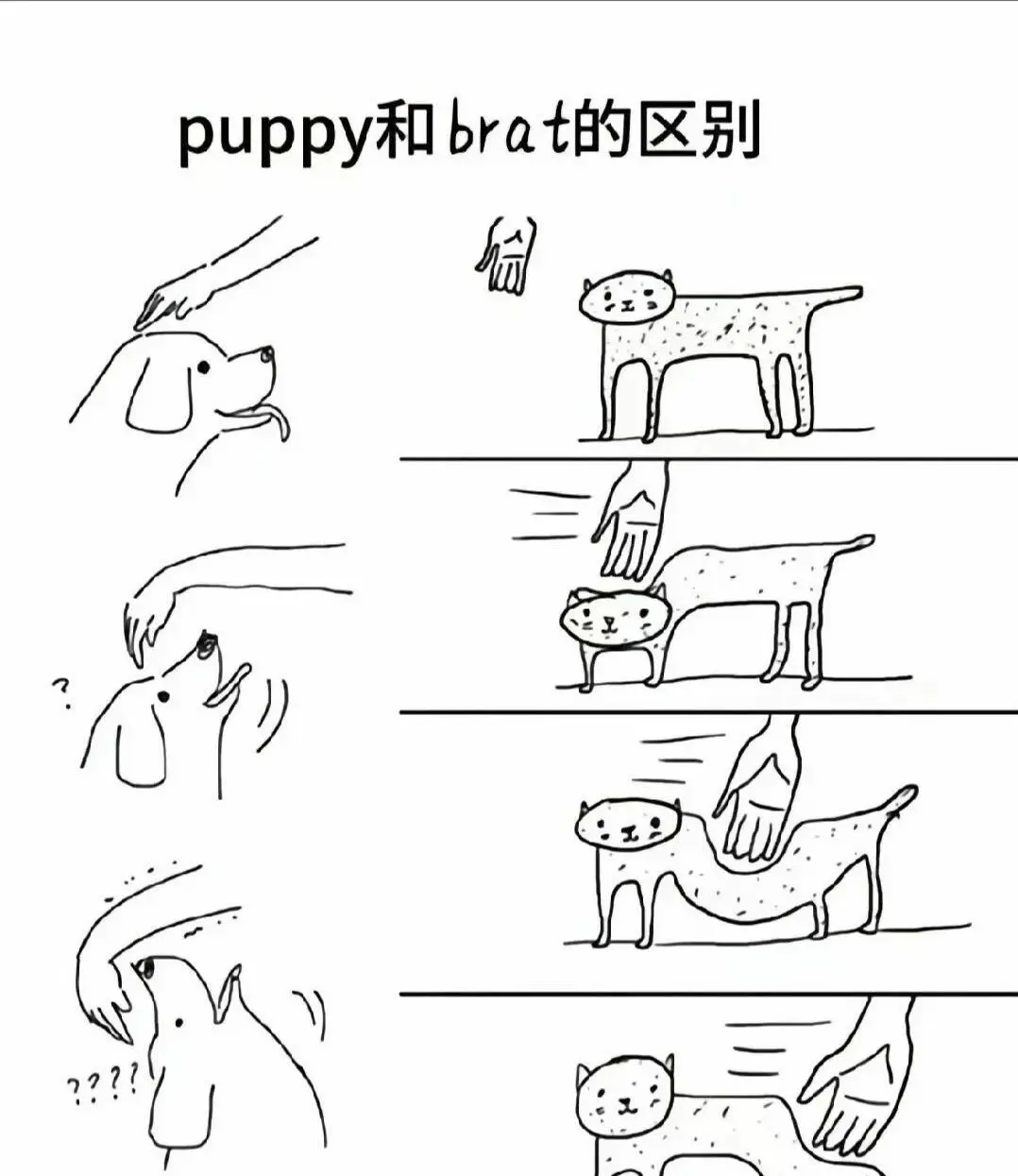 【西檬之家】Dirty Talk是什么？字母圈新人入圈指南