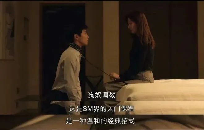 西檬之家-DT是什么？BDSM领域的情趣语言指南