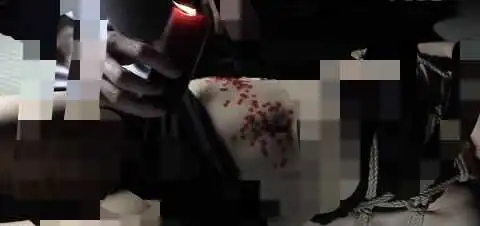【西檬之家】DT是什么？BDSM字母圈新人入圈指南