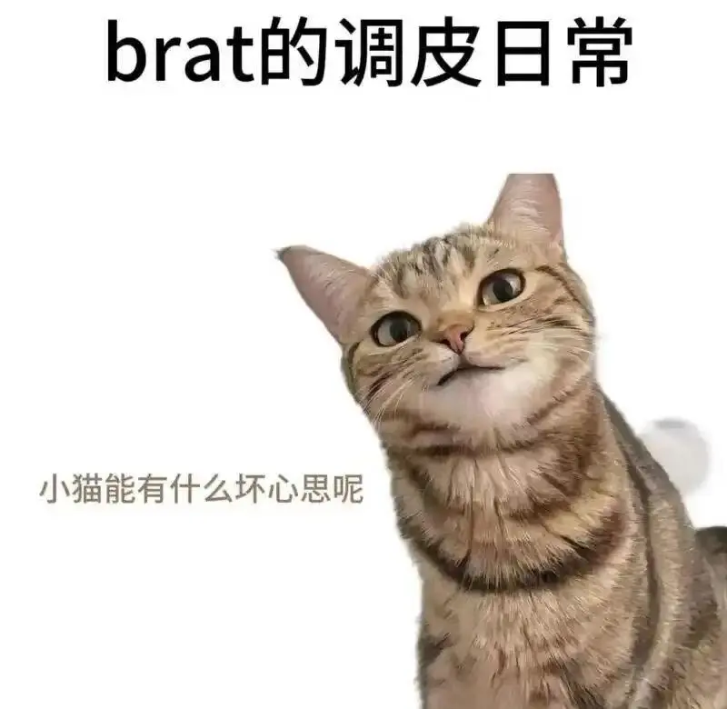 M - 微信图片_20251203212836_109_19