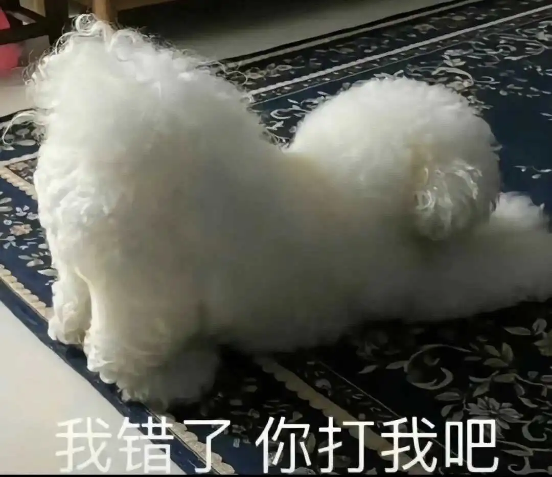 brat属性 - 2023_12_05_21_26_IMG_9543