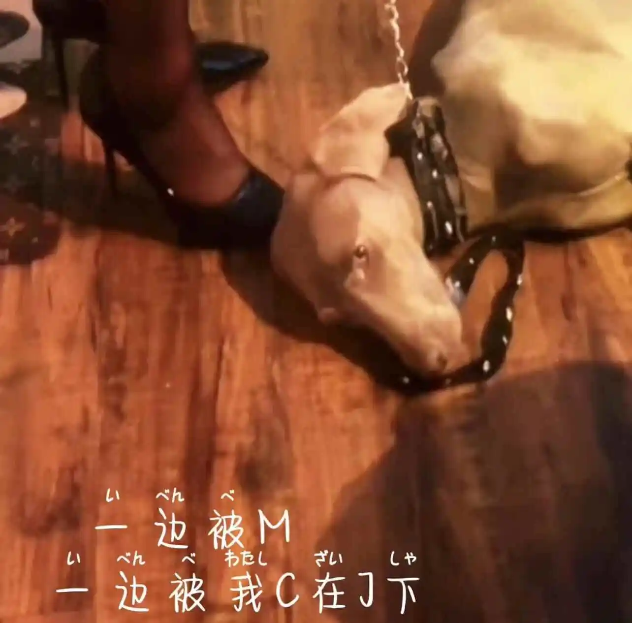 西檬之家-SM亚文化入门：BDSM新人指南
