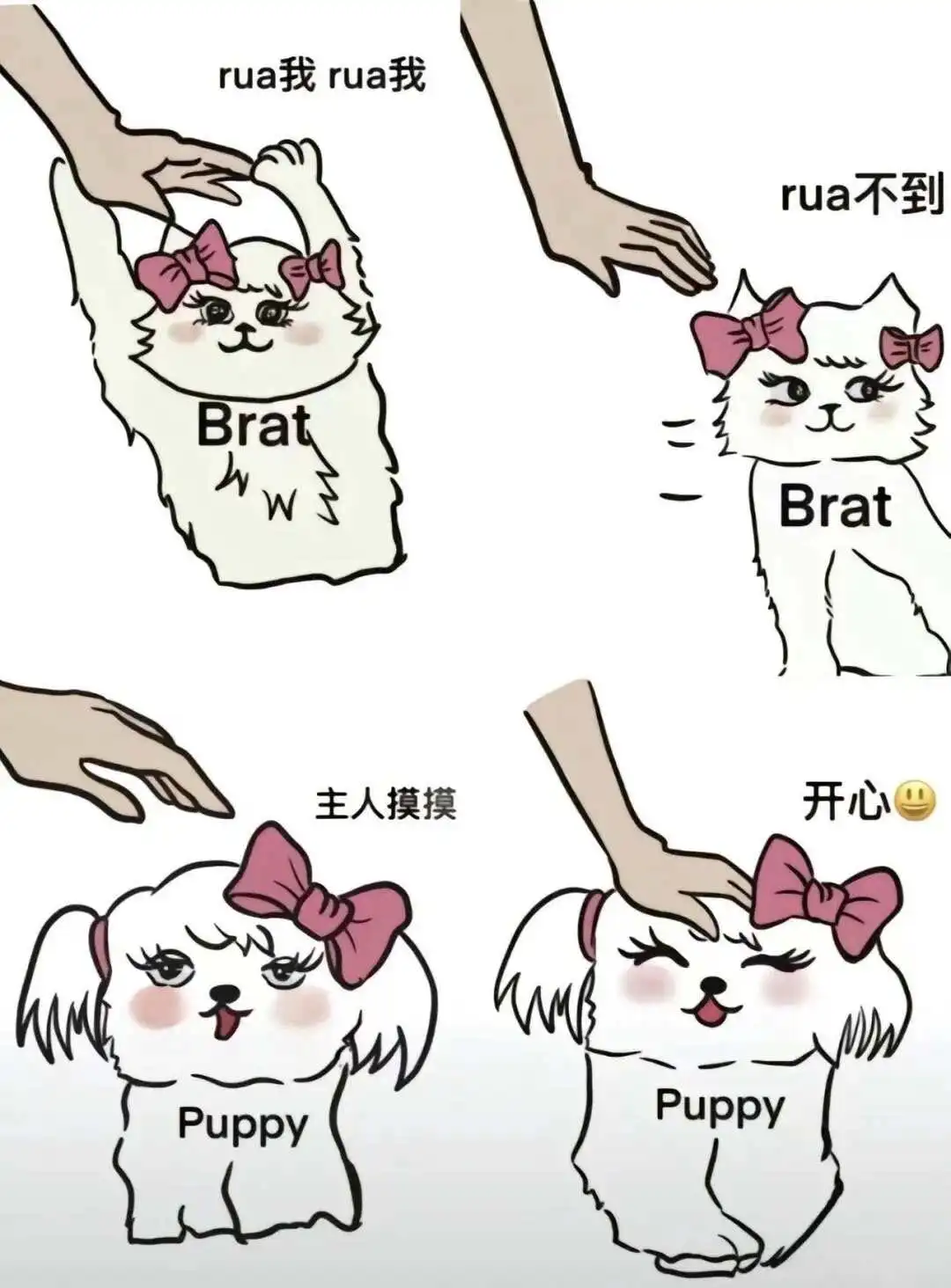 DS关系 - 2023_12_05_21_27_IMG_9364